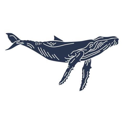 Blue Whale Silhouette