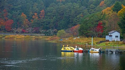 Lake Kawaguchi: A Relaxing Escape to Nature - The True Japan