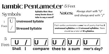 Iambic Pentameter Reference/Review Sheet by MsBDesignFinds | TPT