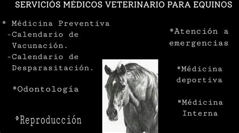 Medicina Veterinaria Equina - Inicio