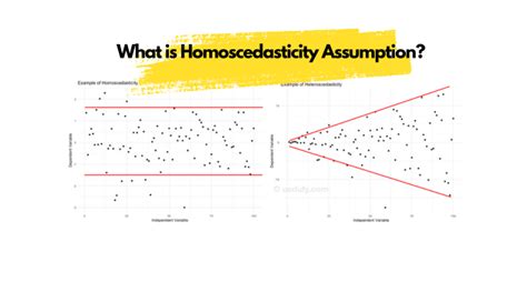 What is Homoscedasticity Assumption in Statistics? - Uedufy