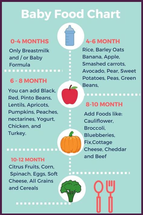 Baby Food Chart | Baby food recipes, Baby food chart, Food charts