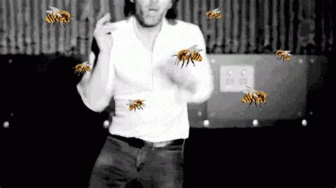 Radiohead Lotus Flower GIFs - Find & Share on GIPHY