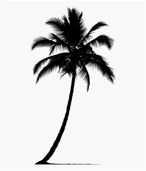 Palm Tree Vector Png, Transparent Png Transparent Png Image PNGitem ...