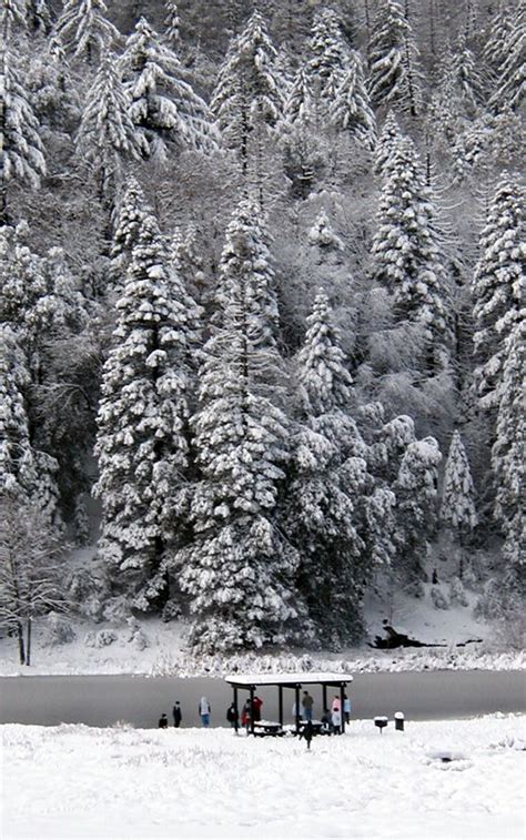 Doane Pond, Palomar Mountain State Park, San Diego County, California. Photo by R. Finegan ...