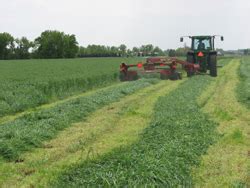 Winter Wheat and Winter Rye for Forage | West Central Research and ...