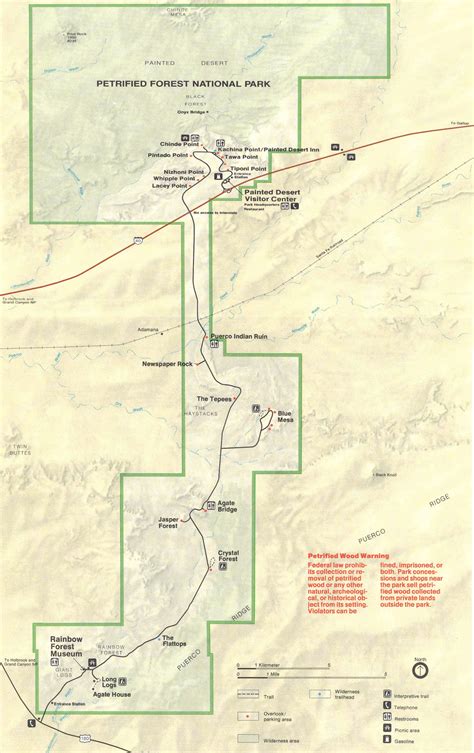 PETRIFIED FOREST | n2backpacking.com