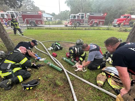 Marion County Fire Rescue personnel save five dogs from mobile home ...