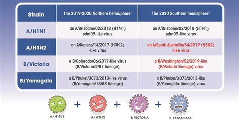 Influenza vaccine 2020 - Be Well