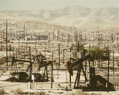 Crude oil extraction in oil fields - Stock Image - F009/5938 - Science Photo Library