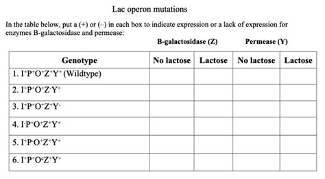 SOLVED: Text: Lac operon mutations In the table below, put a (+) or ...