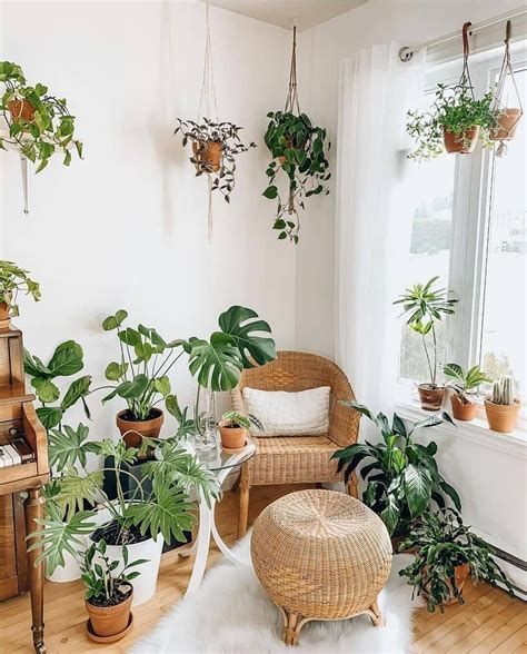 The Flowerpot Life posted on Instagram: “🌱What an aesthetic room😍would you like to live here?📸 ...