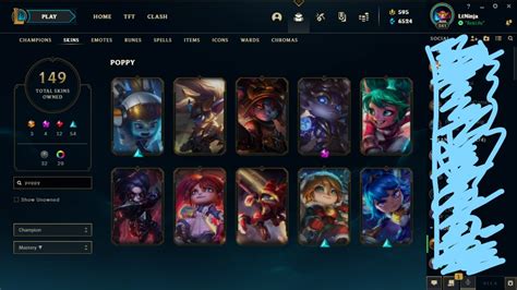 Finally got all of the poppy skins! : r/PoppyMains