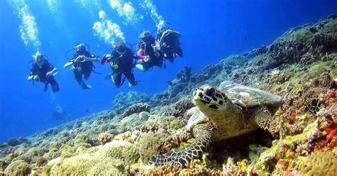 Thailand - Among The Most Popular Countries For Scuba Diving