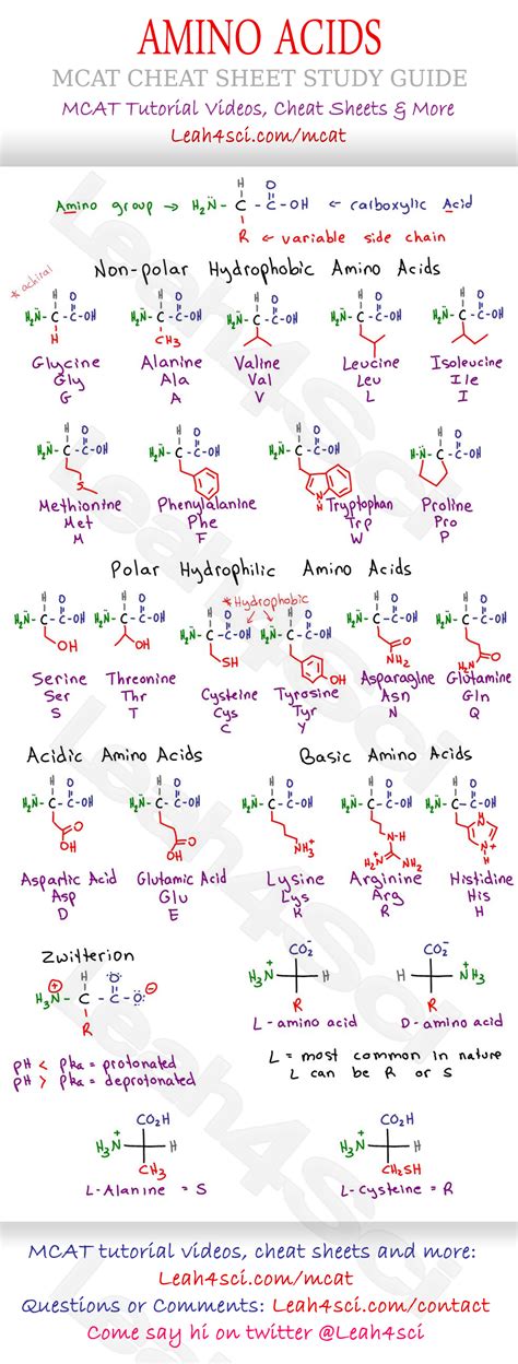 Amino Acid Chart MCAT Cheat Sheet Study Guide