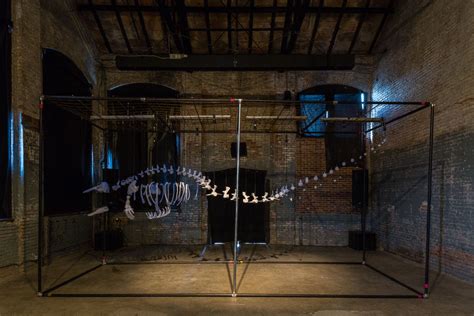 Glowing Beluga Whale Skeleton – Ambient Glow Technology