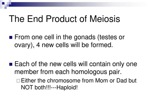 MEIOSIS. - ppt download