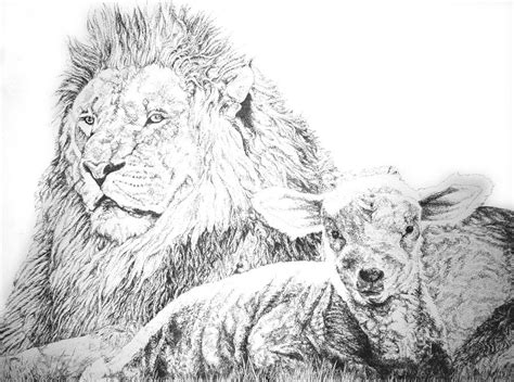 The Lion And The Lamb Drawing by Bryan Bustard