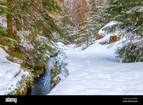 Harz National Park in winter Oderteich Stock Photo - Alamy