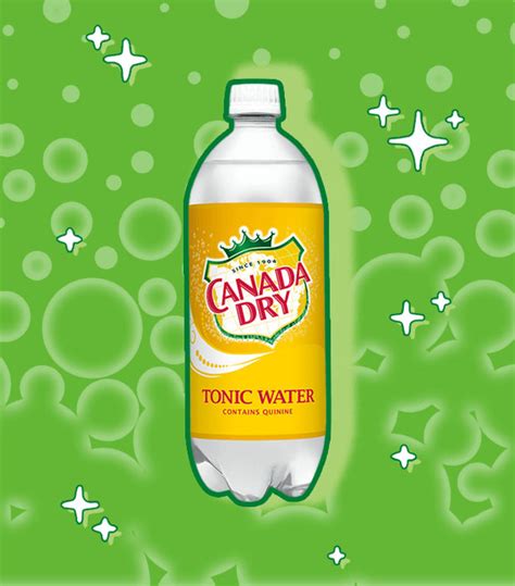 15 Canada Dry Flavors, Ranked | Sporked