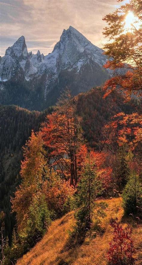 Fall Mountain Scenery Wallpaper