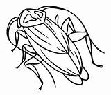 Free Printable Cockroach Coloring Pages For Kids sketch template