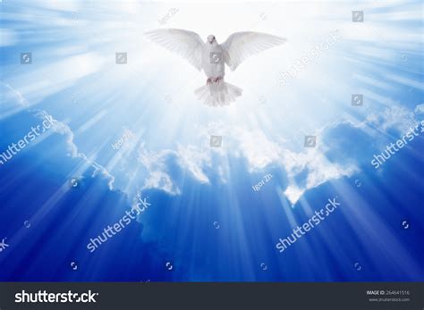 171,349 Holy Spirit Images, Stock Photos & Vectors | Shutterstock