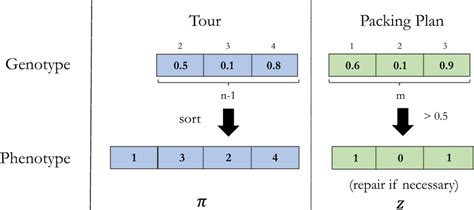 Chromosome structure: genotype to phenotype mapping | Download Scientific Diagram