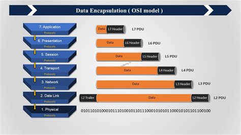 Data Encapsulation and De-encapsulation (OSI model) Animation - YouTube