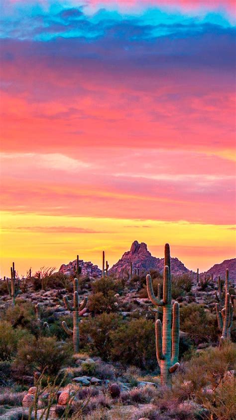 Arizona Desert Wallpaper