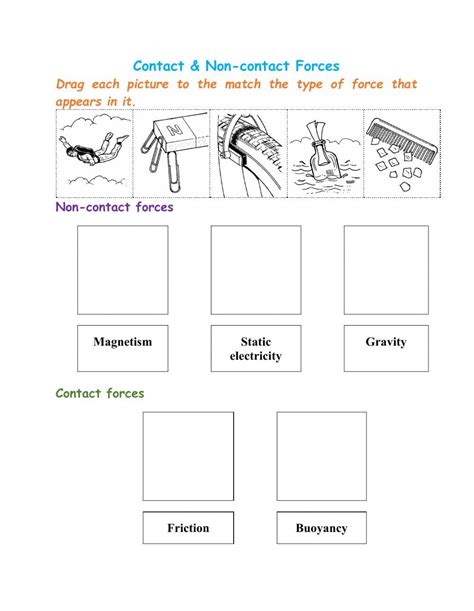 Contact & Non-contact Forces interactive worksheet | Worksheets, Job application cover letter, Force