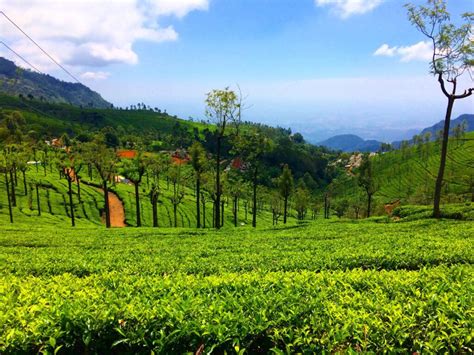 Ooty: how to visit top tourist places? - The Travelling World