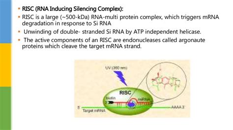 Gene silencing