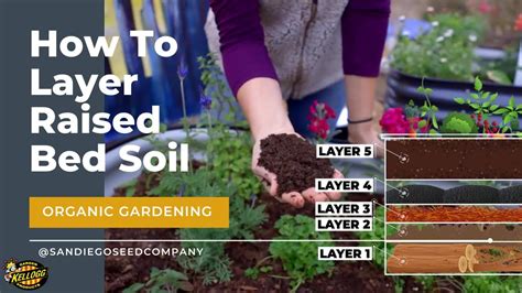 Layering Soil in a Raised Garden Bed - YouTube