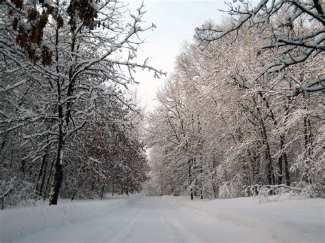 Winter Tips for Cold Weather Bemidji Pioneer | Find Bemidji Minnesota