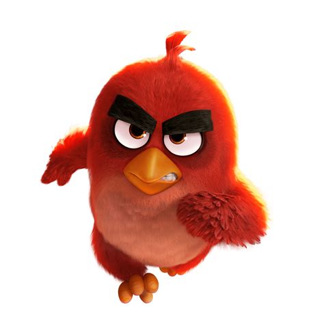 Angry Birds Red court PNG transparents - StickPNG