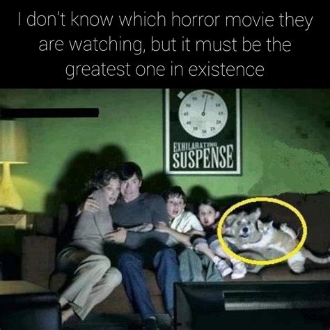 Watching the greatest horror movie with family : r/memes