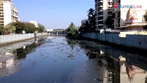 Dahisar bridge creates stir in political gallery | Mumbai Live