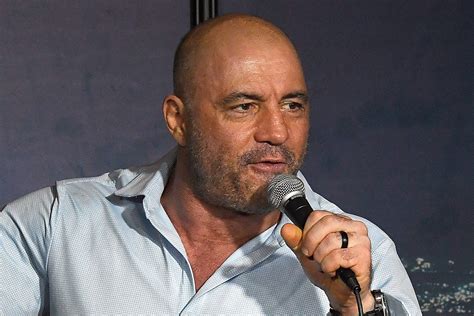 Joe Rogan's Most Heated Celebrity Arguments on His Podcast - Newsweek