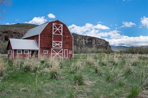 6,000+ Barn Animals Pictures