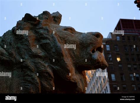 Chicago art institute lions hi-res stock photography and images - Alamy