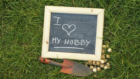 I love my hobby stock image. Image of lover, home, green - 45455503