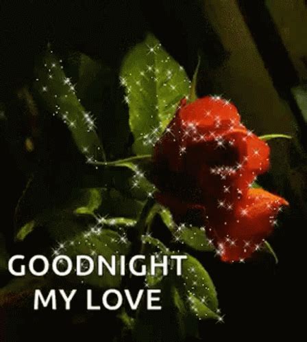 Goodnight Red Roses GIF - Goodnight Red Roses Sparkles - Discover & Share GIFs