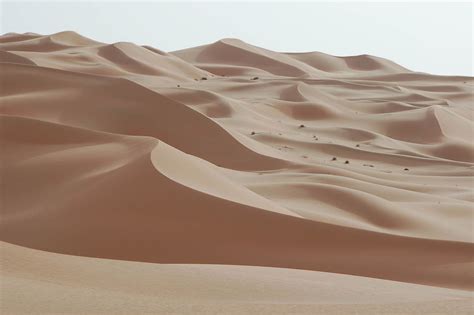 Arabian Desert - Sand, Rocks, Climate | Britannica