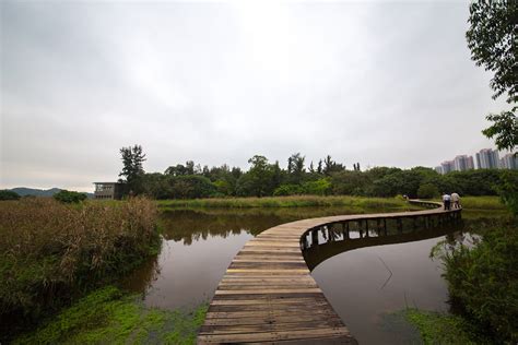 Migratory Birds at Hong Kong Wetland Park 2024-2025 - Rove.me