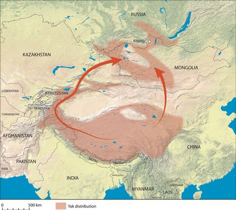 Distribution of the yak across Asia during historical and modern ...