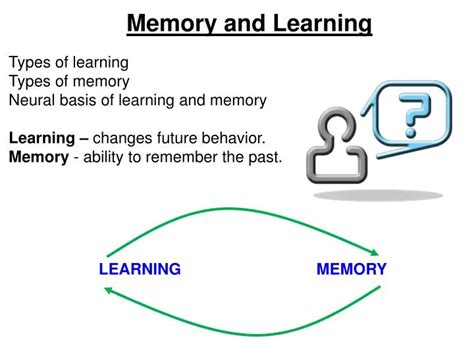 PPT - Memory and Learning PowerPoint Presentation, free download - ID ...