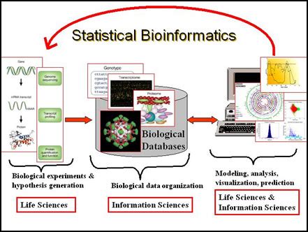 Bioinformatics