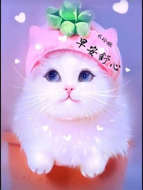 Pin by May on Good Morning Wishes (Chinese) | Kitten wallpaper, Cute ...