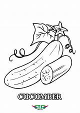 Printable Free Cucumber Coloring Page For Kids  TSgoscom sketch template